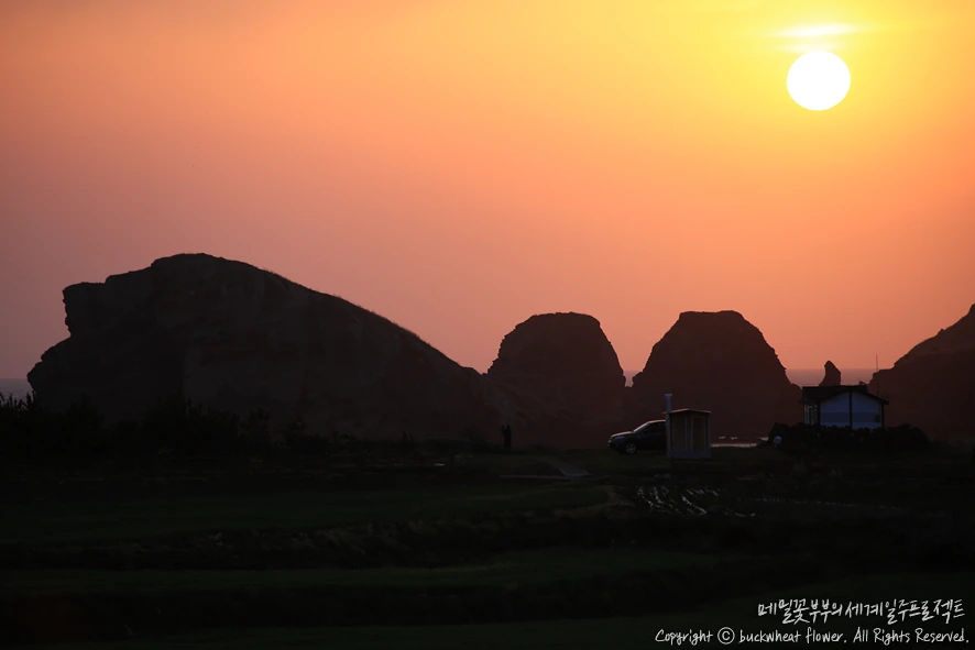 7.%EC%B0%A8%EA%B7%80%EB%8F%84%EC%9D%BC%EB%AA%B0.png?type=w1200