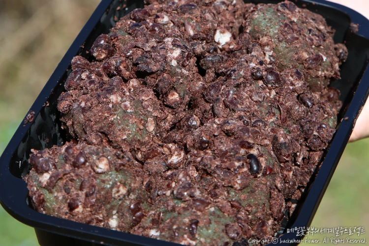 %EB%8F%99%EB%AC%B8%EC%8B%9C%EC%9E%A5_04%28%EC%98%A4%EB%A9%94%EA%B8%B0%EB%96%A1%29.png?type=w1200