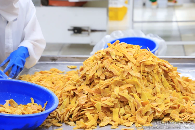 04._7d%EB%A7%9D%EA%B3%A0%EA%B3%B5%EC%9E%A5.png?type=w1200