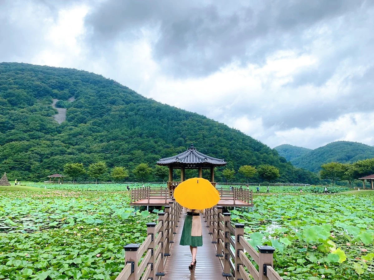 KakaoTalk_20190827_231626342.jpg?type=w1200