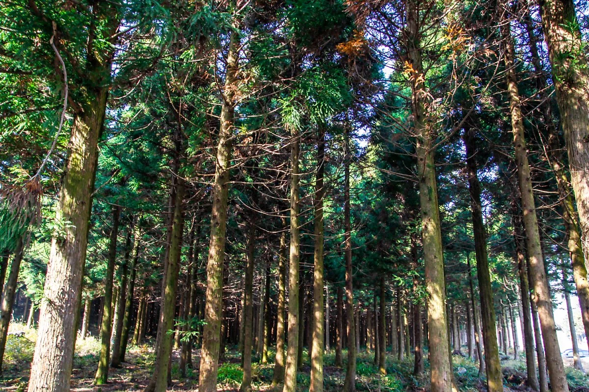 1_MG_5925.jpg?type=w1200