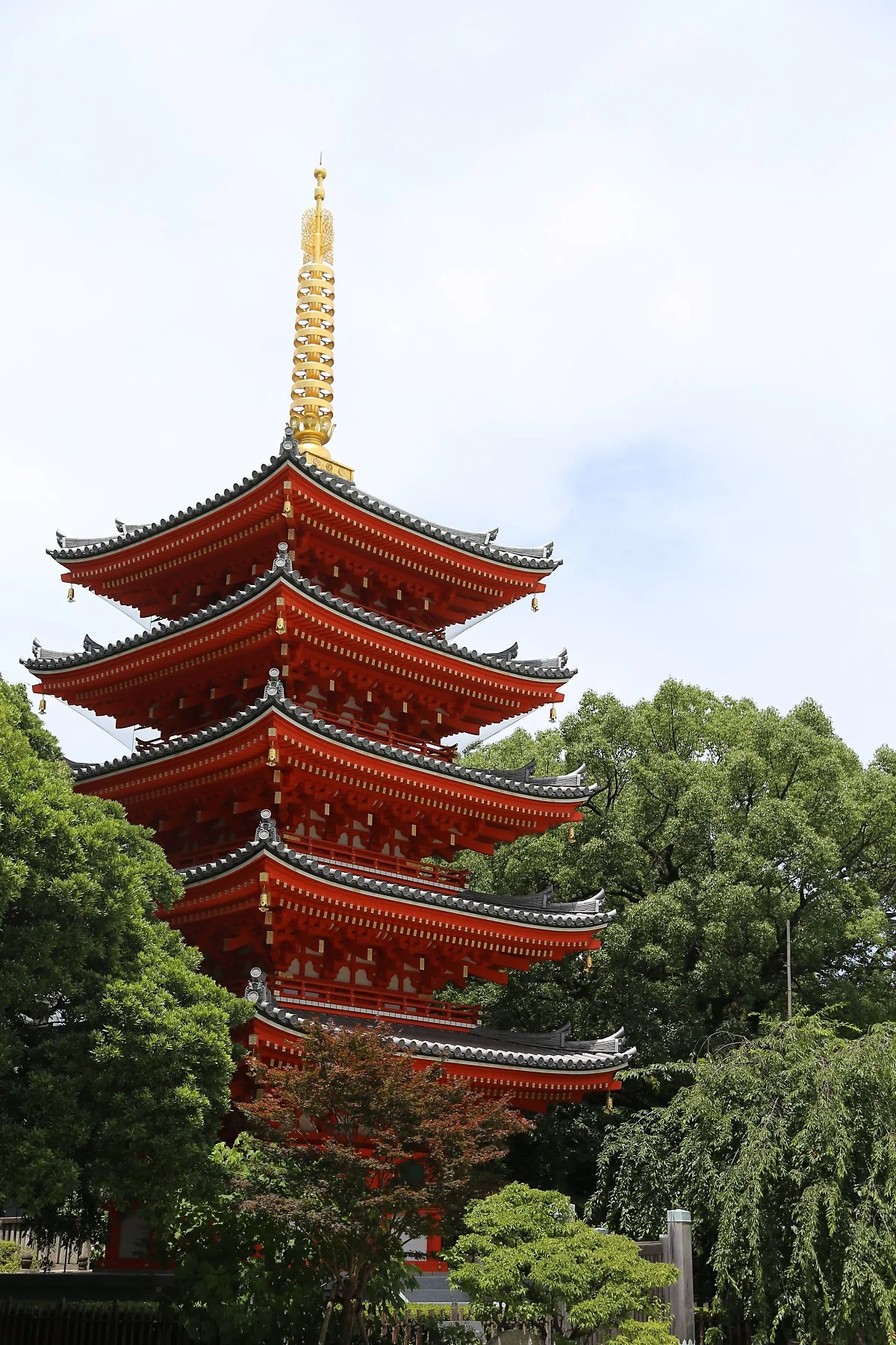 1_%EB%8F%84%EC%B4%88%EC%A7%80.JPG?type=w1200