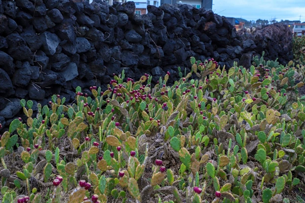 image.png?type=w1200&type=w1200