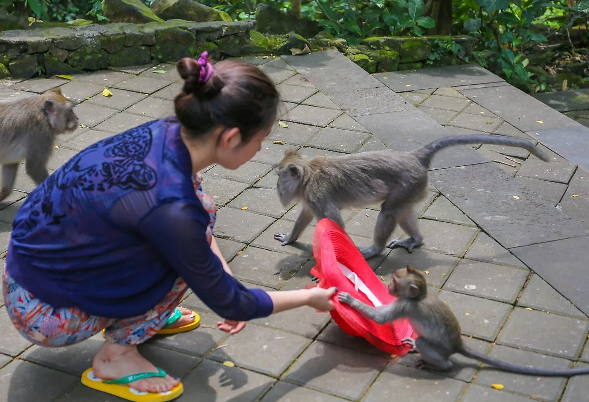 %EB%B0%9C%EB%A6%AC_%282%29.jpg?type=w1200