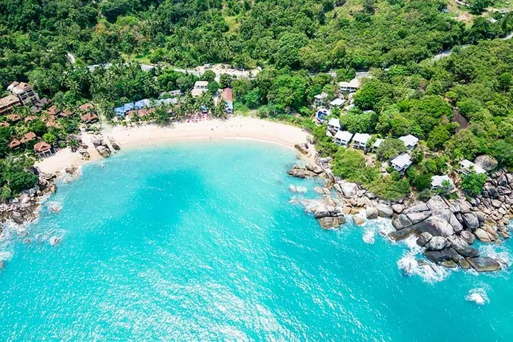 3-%EC%BD%94%EC%82%AC%EB%AC%B4%EC%9D%B4.jpg?type=w1200