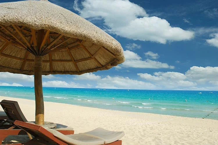 3-%ED%95%98%EC%9D%B4%EB%82%98.jpg?type=w1200