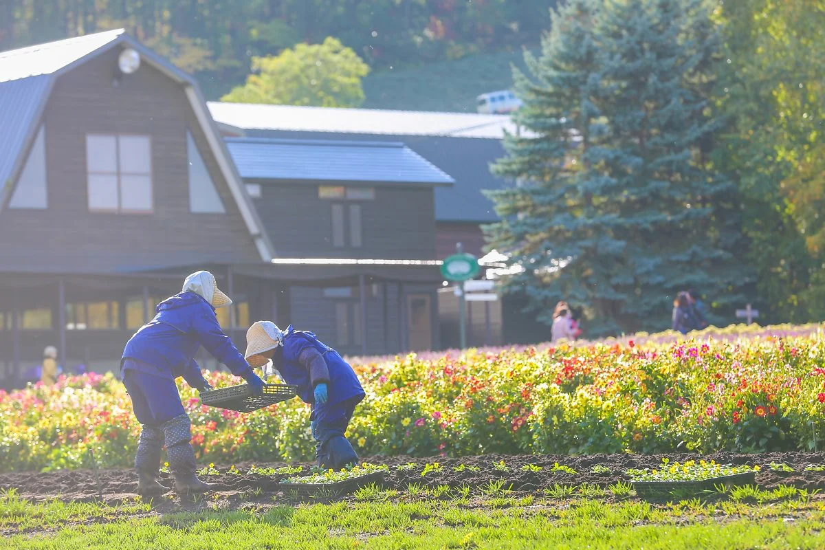 10_%EA%B0%80%EC%9D%84_%282%29.jpg?type=w1200