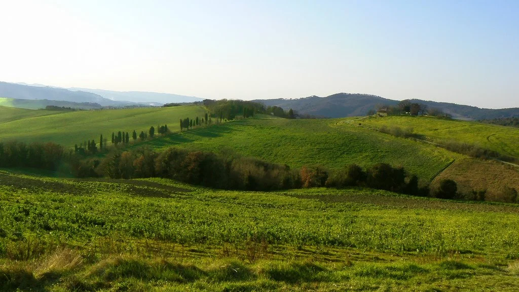 3341421119_f5c5709681_b.jpg?type=w1200