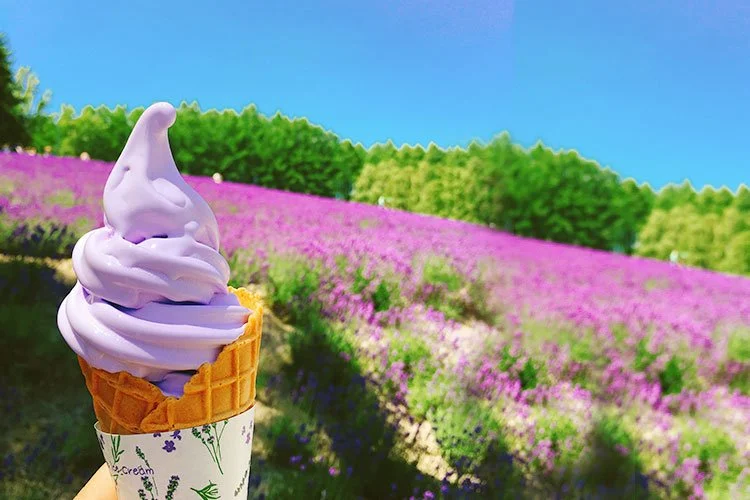 1-%EC%82%BF%ED%8F%AC%EB%A1%9C.jpg?type=w1200