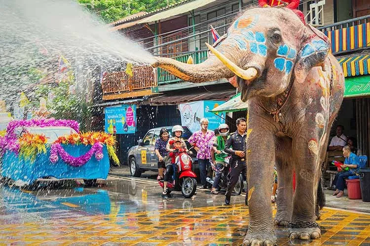 2_%ED%83%9C%EA%B5%AD%EC%86%A1%ED%81%AC%EB%9E%80%EC%B6%95%EC%A0%9C.jpg?type=w1200