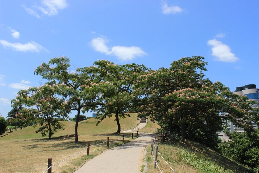 올림픽공원 (2).JPG