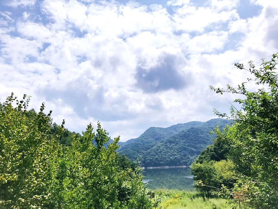 image_4762719741566974801403.jpg?type=w1200