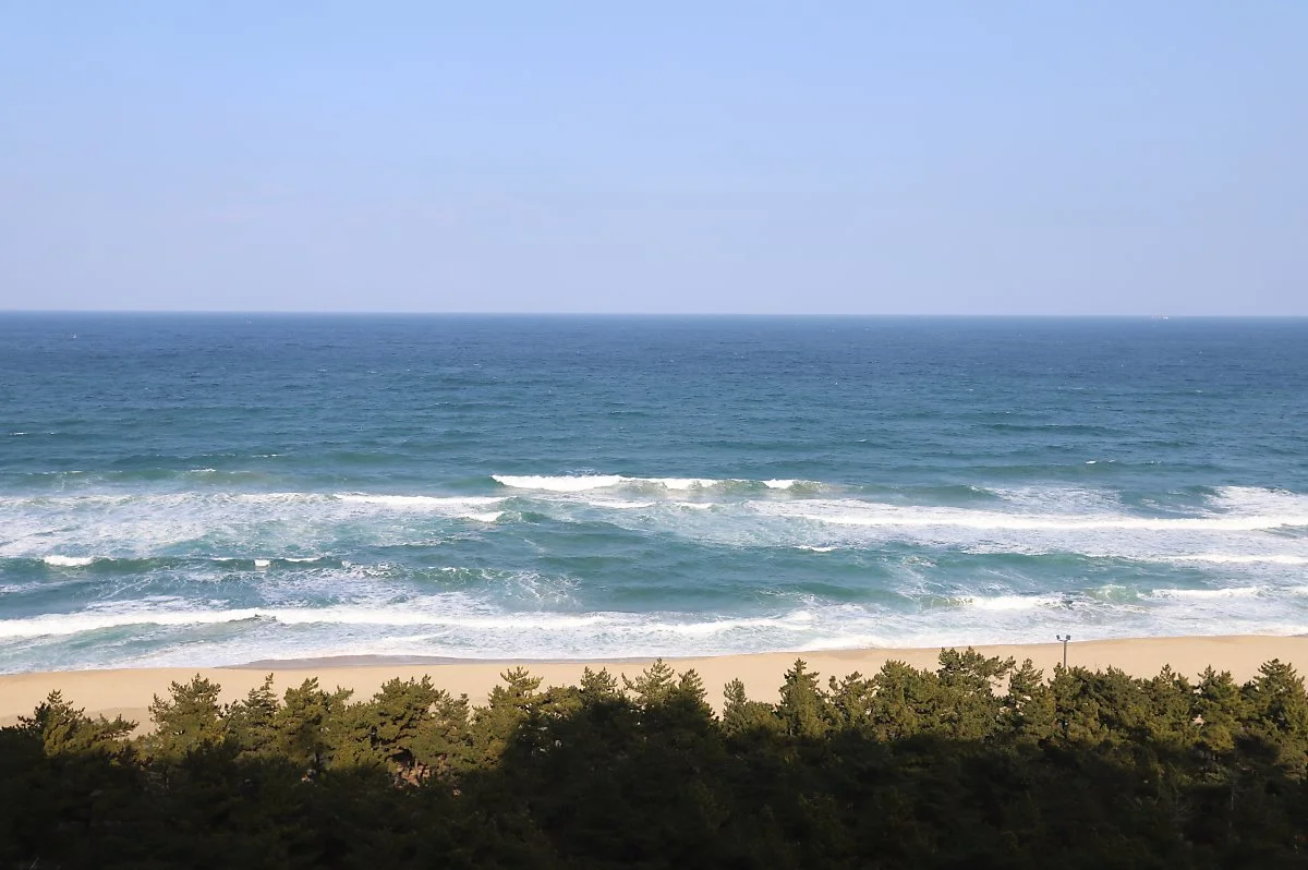 6%EC%9B%94_%EA%B5%AD%EB%82%B4%EC%97%AC%ED%96%89%EC%A7%80%EC%B6%94%EC%B2%9C2_%EA%B0%95%EB%A6%891.JPG?type=w1200