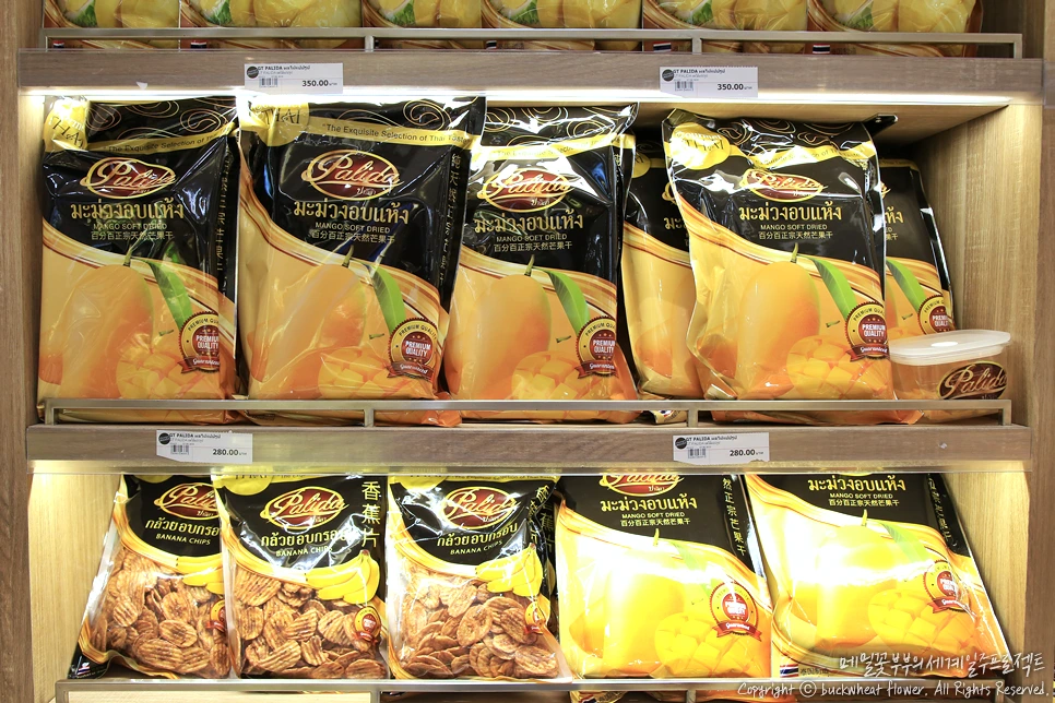 02.%EA%B1%B4%EA%B3%BC%EC%9D%BC.png?type=w1200