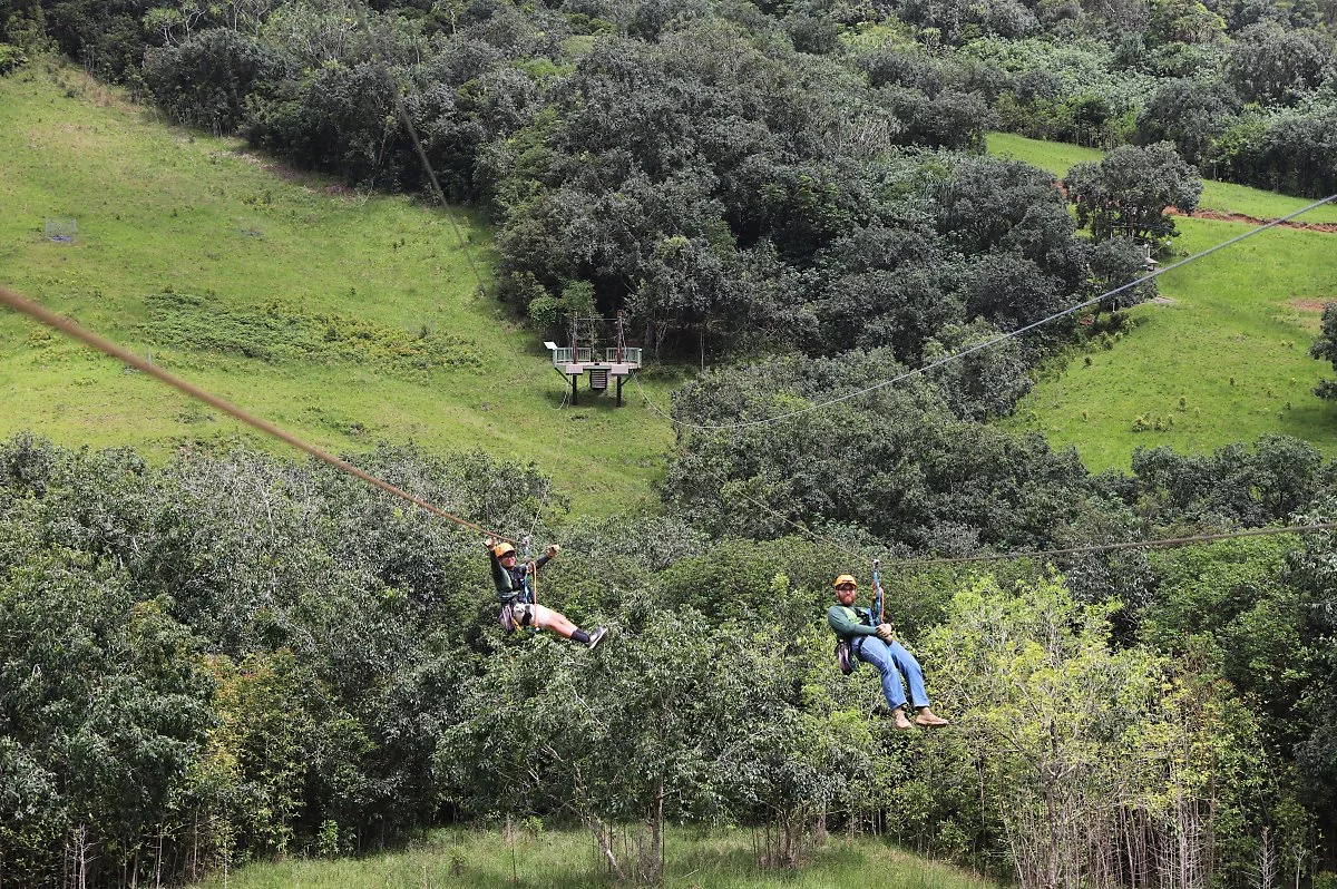 %ED%95%98%EC%99%80%EC%9D%B4%ED%95%AD%EA%B3%B5%EA%B6%8C9.JPG?type=w1200