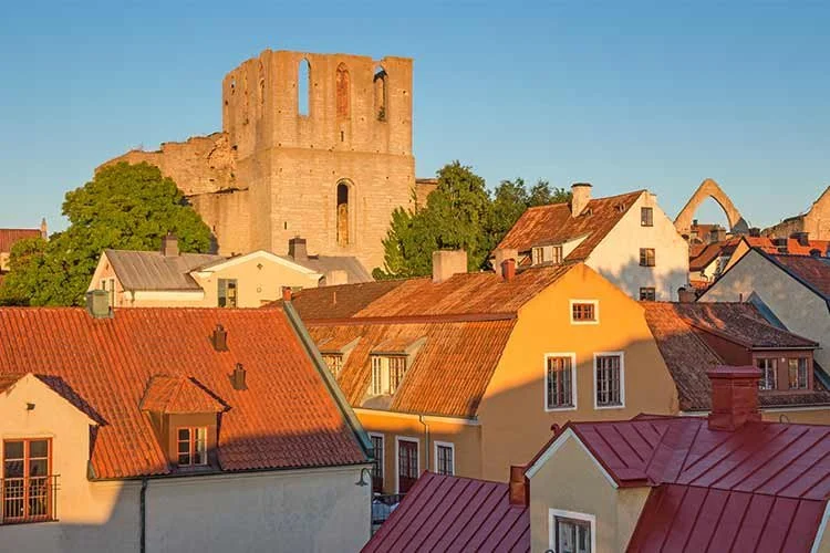 7-%EB%B9%84%EC%8A%A4%EB%B7%94.jpg?type=w1200