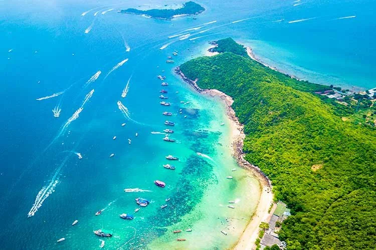 5-%ED%8C%8C%ED%83%80%EC%95%BC.jpg?type=w1200