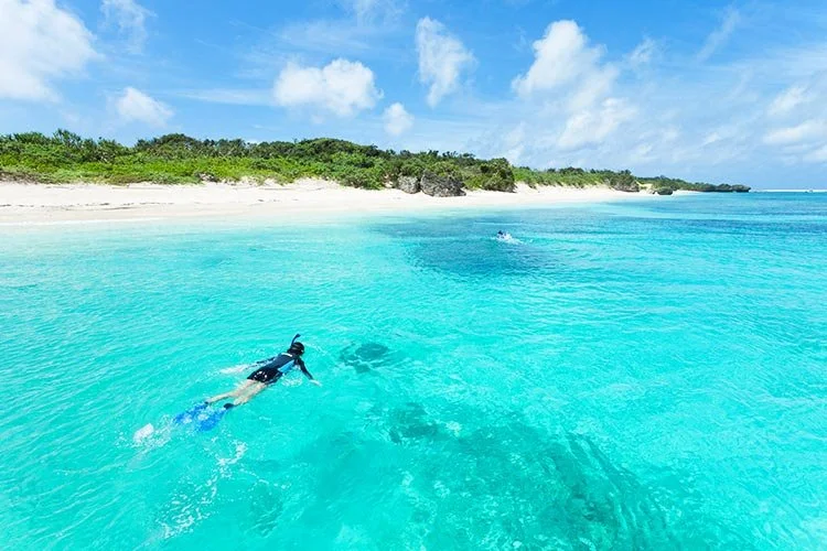 4-%EA%B3%A0%ED%95%98%EB%A7%88.jpg?type=w1200