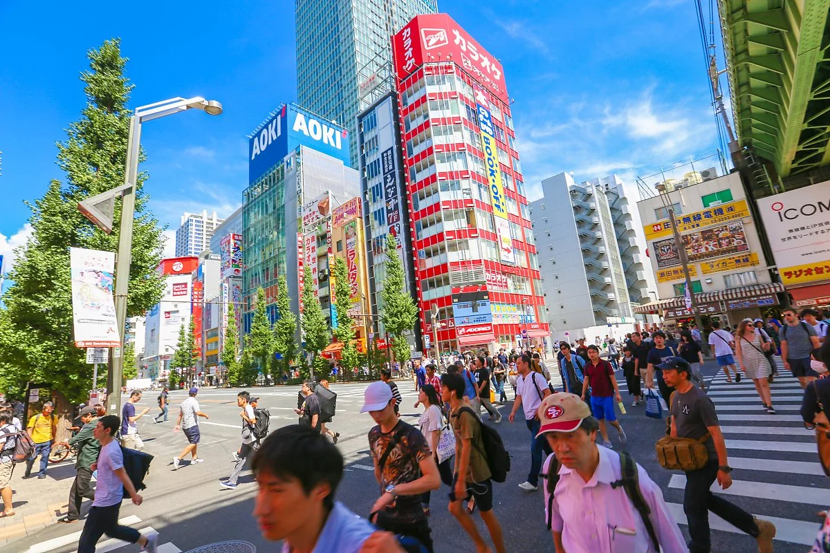 %EC%95%84%ED%82%A4%ED%95%98%EB%B0%94%EB%9D%BC_%282%29.jpg?type=w1200