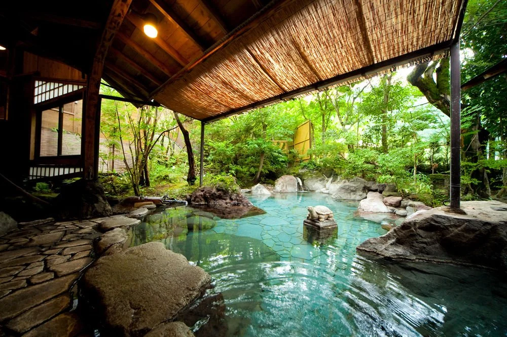 15425089_14_z.jpg?type=w1200