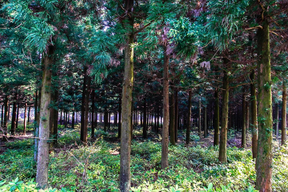 1_MG_5935.jpg?type=w1200