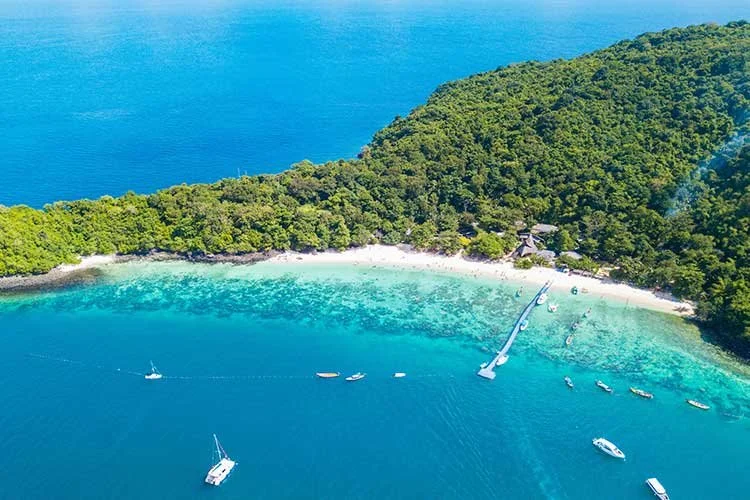 7_%ED%91%B8%EC%BC%93.jpg?type=w1200