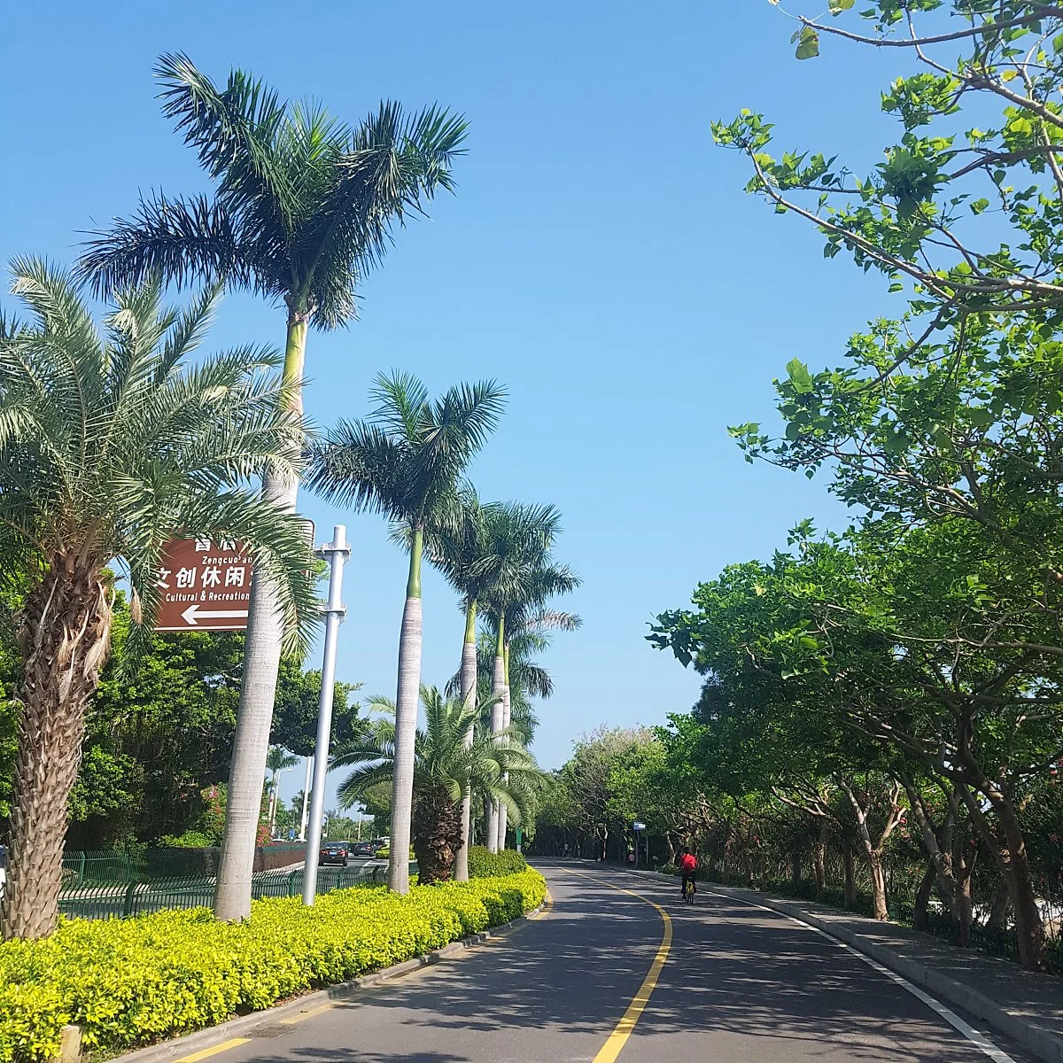 20180913_145220.jpg?type=w1200