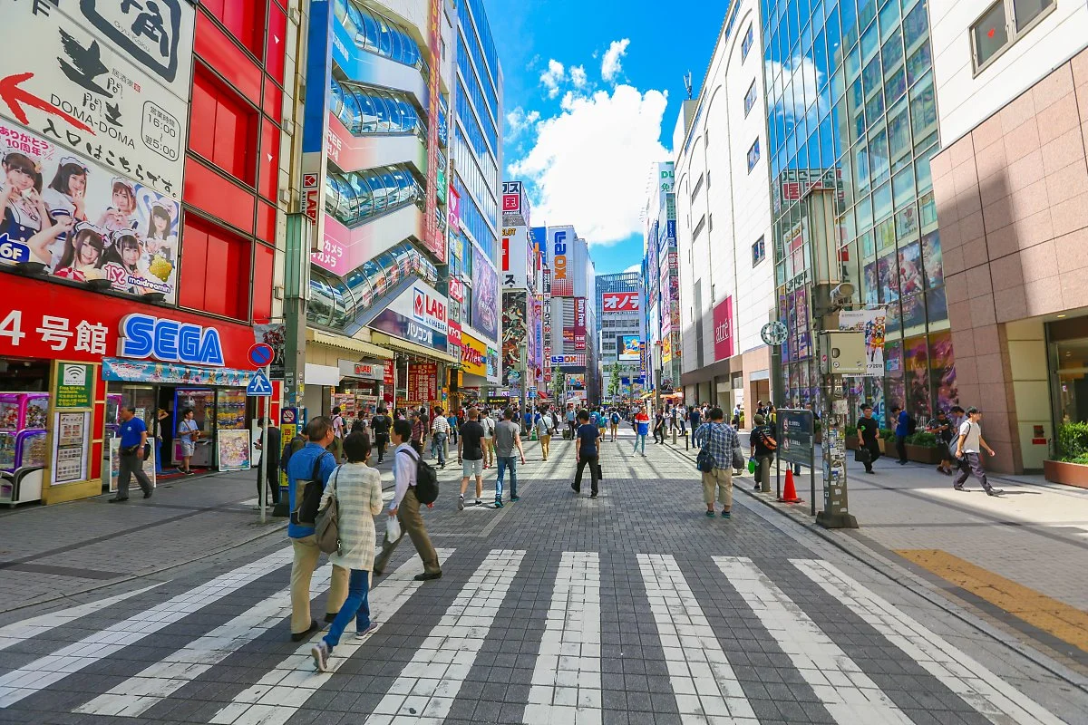 %EC%95%84%ED%82%A4%ED%95%98%EB%B0%94%EB%9D%BC_%283%29.jpg?type=w1200