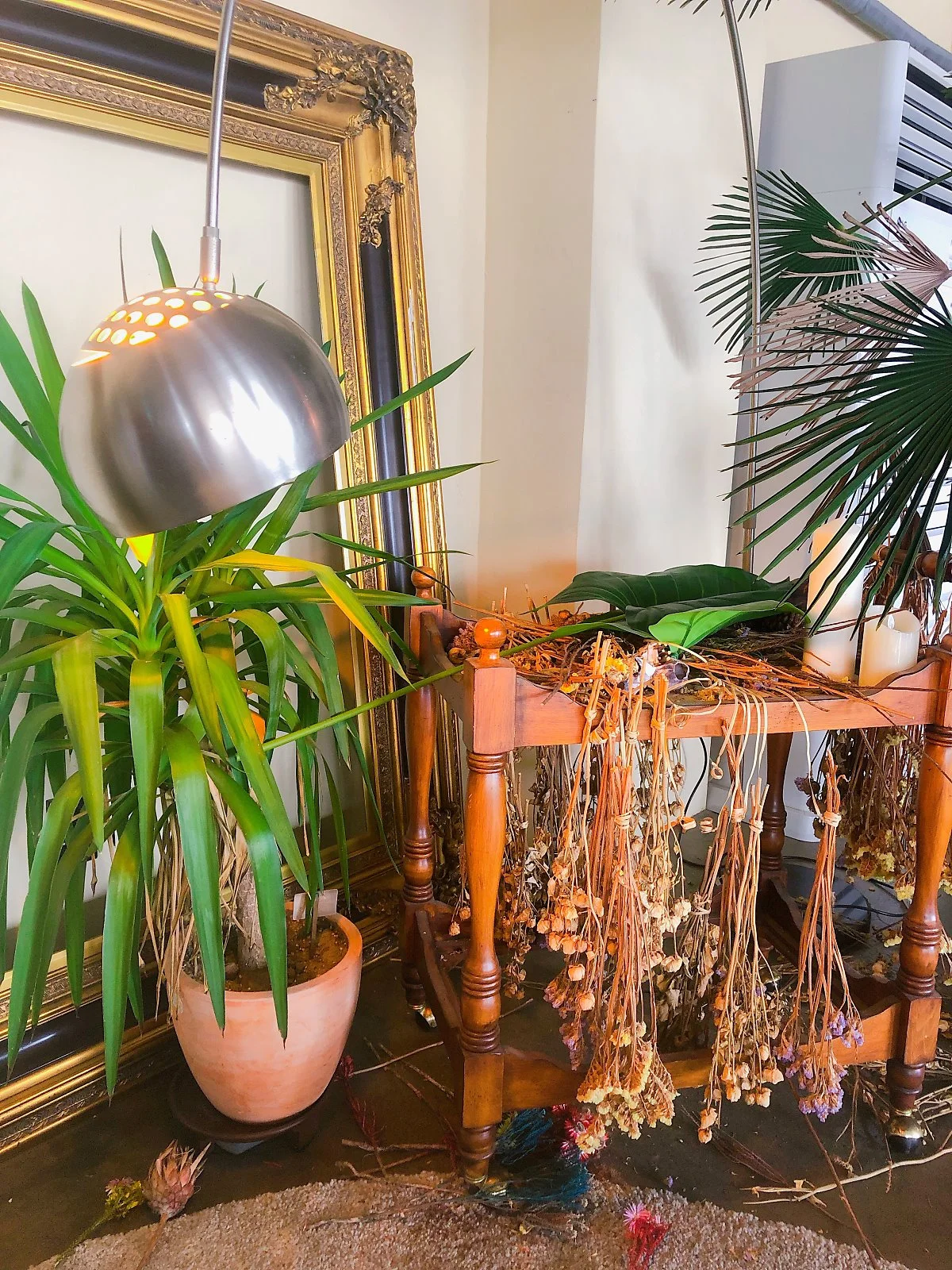 IMG_3028.JPG?type=w1200