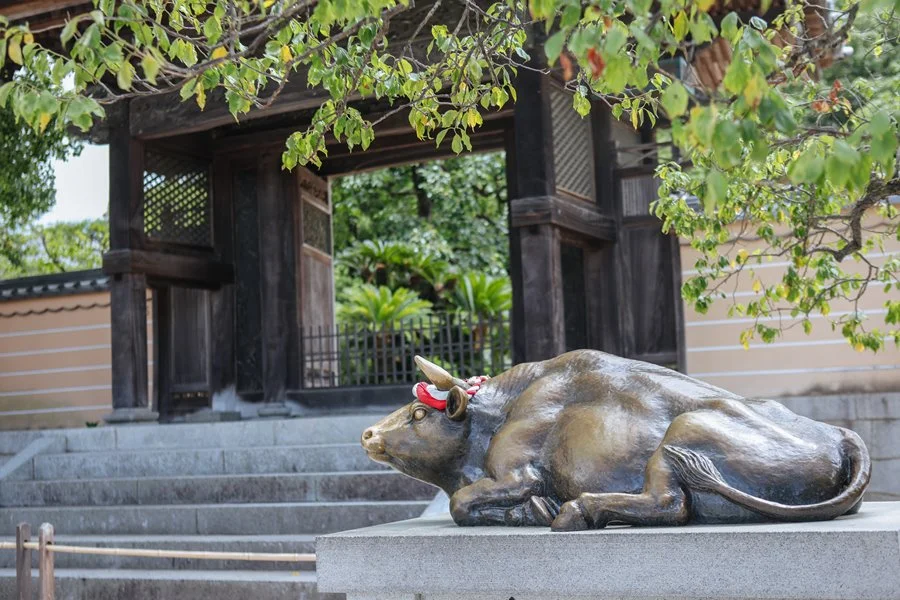 %EC%9D%B5%EC%8A%A4SEO.%ED%9B%84%EC%BF%A0%EC%98%A4%EC%B9%B416_by%ED%83%9C%EC%96%91.jpg?type=w1200