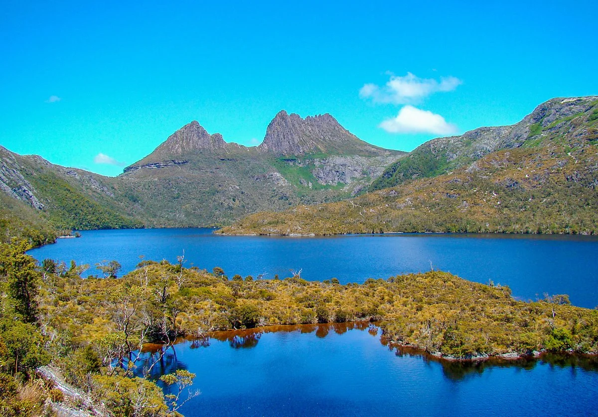 5_%ED%98%B8%EC%A3%BC_%ED%83%9C%EC%A6%88%EB%A7%A4%EB%8B%88%EC%95%84_%283%29.jpg?type=w1200