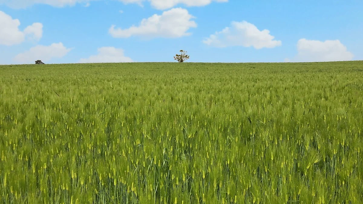 6%EC%9B%94_%EA%B5%AD%EB%82%B4%EC%97%AC%ED%96%89%EC%A7%80%EC%B6%94%EC%B2%9C4_%EA%B3%A0%EC%84%B11.JPG?type=w1200