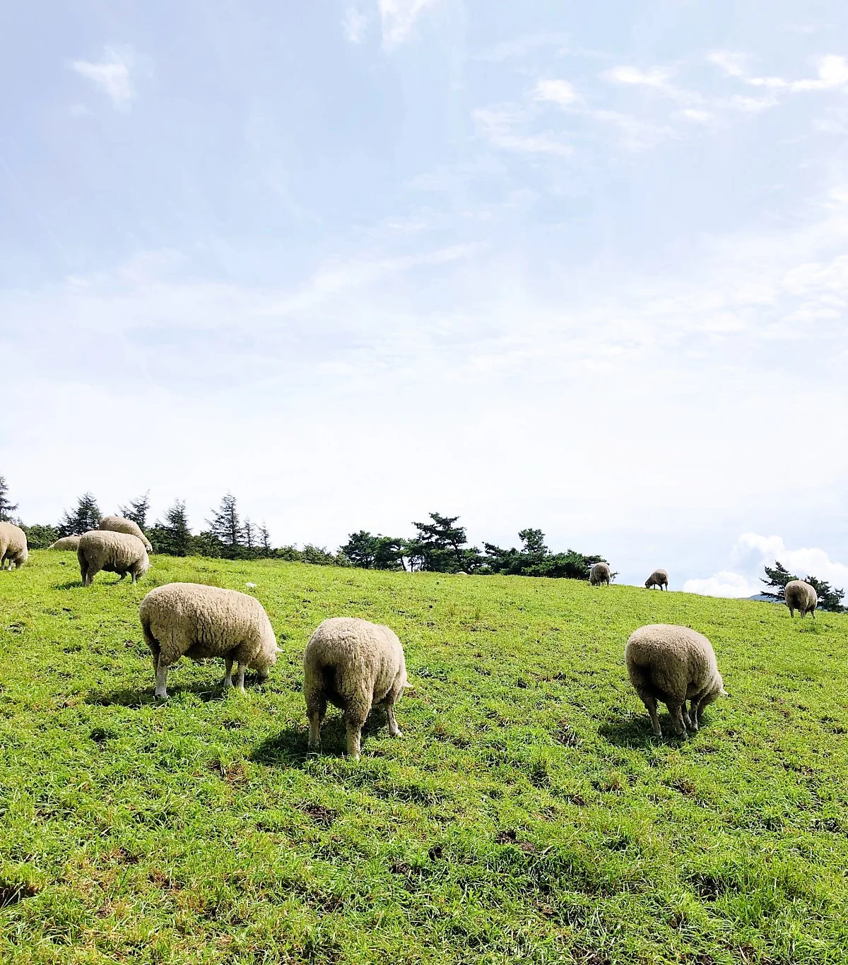 wp_1985353531567771195179.jpg?type=w1200