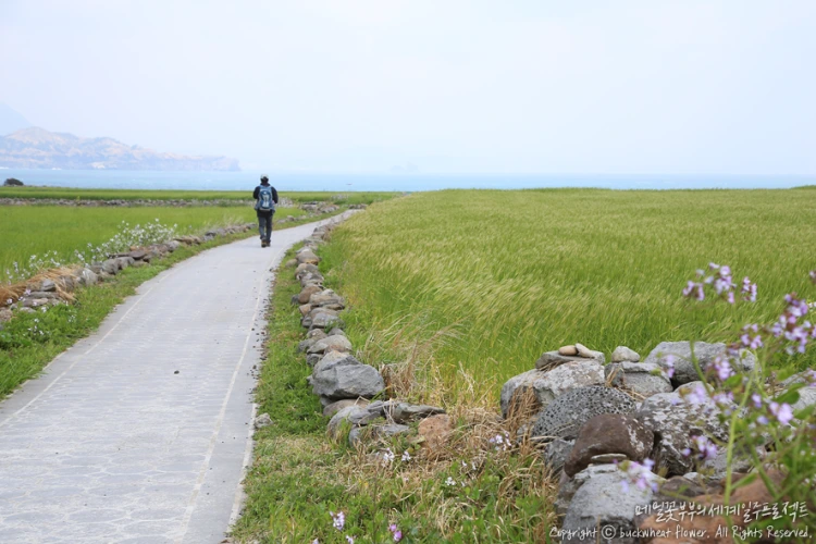 %EA%B0%80%ED%8C%8C%EB%8F%84%EC%B2%AD%EB%B3%B4%EB%A6%AC_01.png?type=w1200