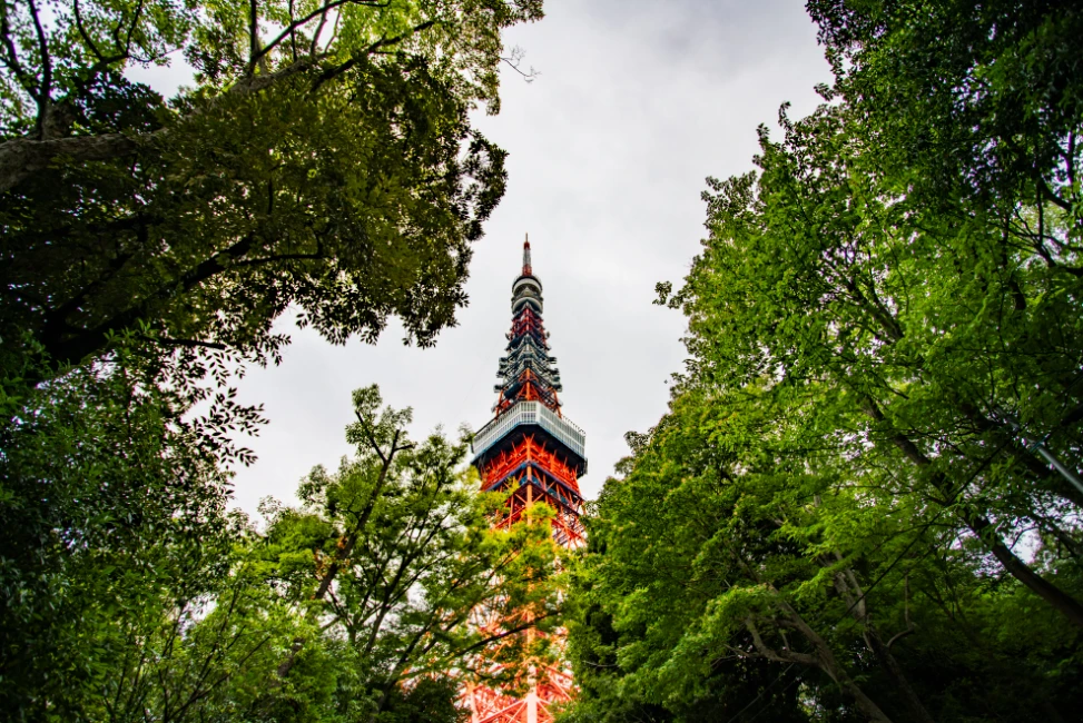 image.png?type=w1200