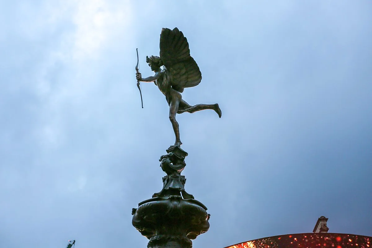 5_%ED%94%BC%EC%B9%B4%EB%94%9C%EB%A6%AC_%EC%84%9C%EC%BB%A4%EC%8A%A4.jpg?type=w1200