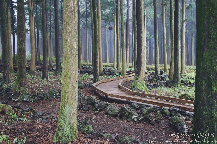 2.%EC%A0%88%EB%AC%BC%EC%9E%90%EC%97%B0%ED%9C%B4%EC%96%91%EB%A6%BC.png?type=w1200