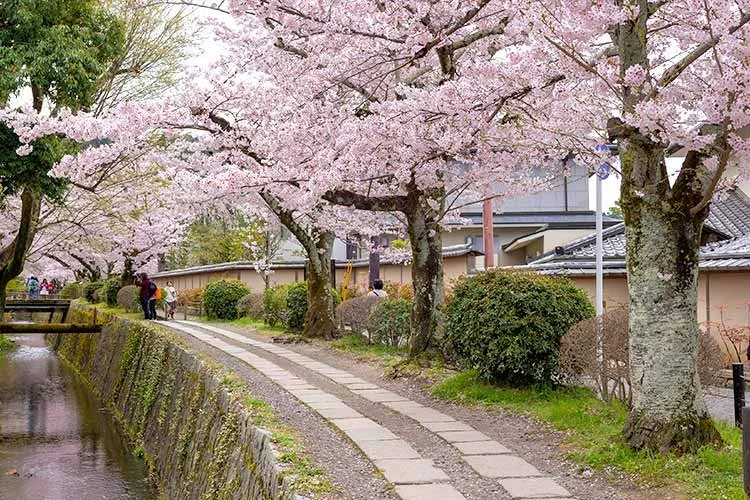 %EA%B5%90%ED%86%A0.jpg?type=w1200