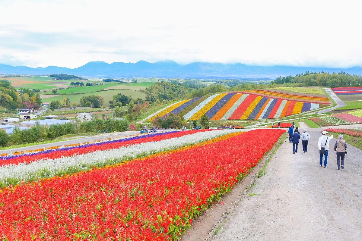 9_%EC%97%AC%EB%A6%84_%281%29.jpg?type=w1200