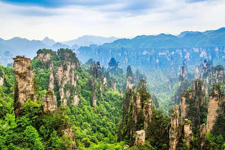 1-%EC%9E%A5%EA%B0%80%EA%B3%84.jpg?type=w1200