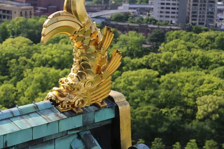 image_606520141547560394444.jpg?type=w1200