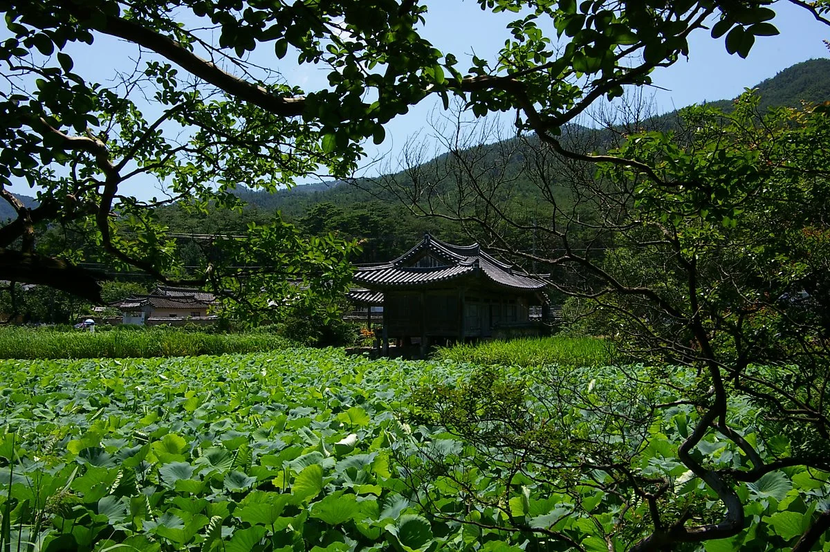 IMGP3900.JPG?type=w1200