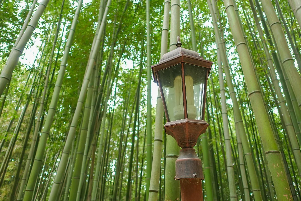 %EB%8B%B4%EC%96%91_%282%29.jpg?type=w1200