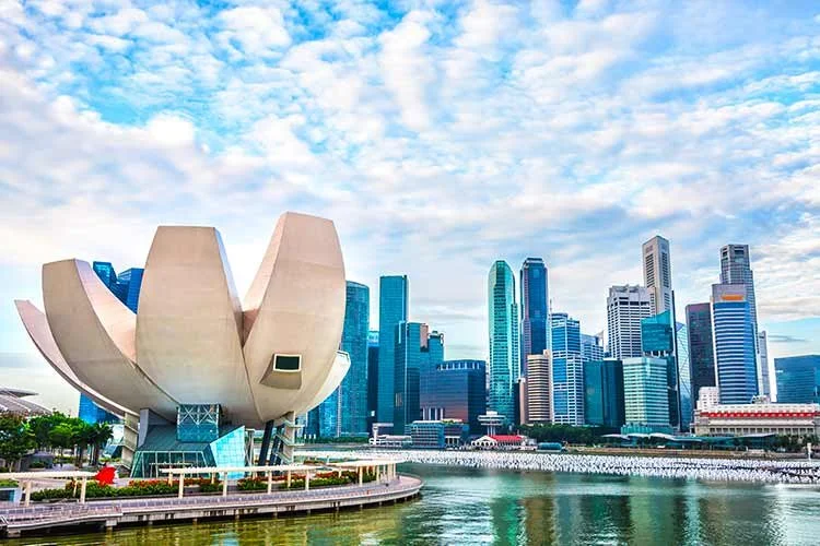 6-%EC%8B%B1%EA%B0%80%ED%8F%AC%EB%A5%B4.jpg?type=w1200