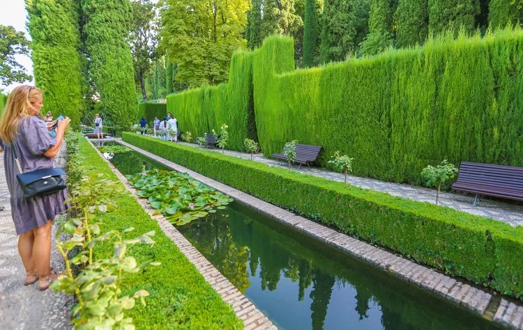 image_2653056171547431321499.jpg?type=w1200