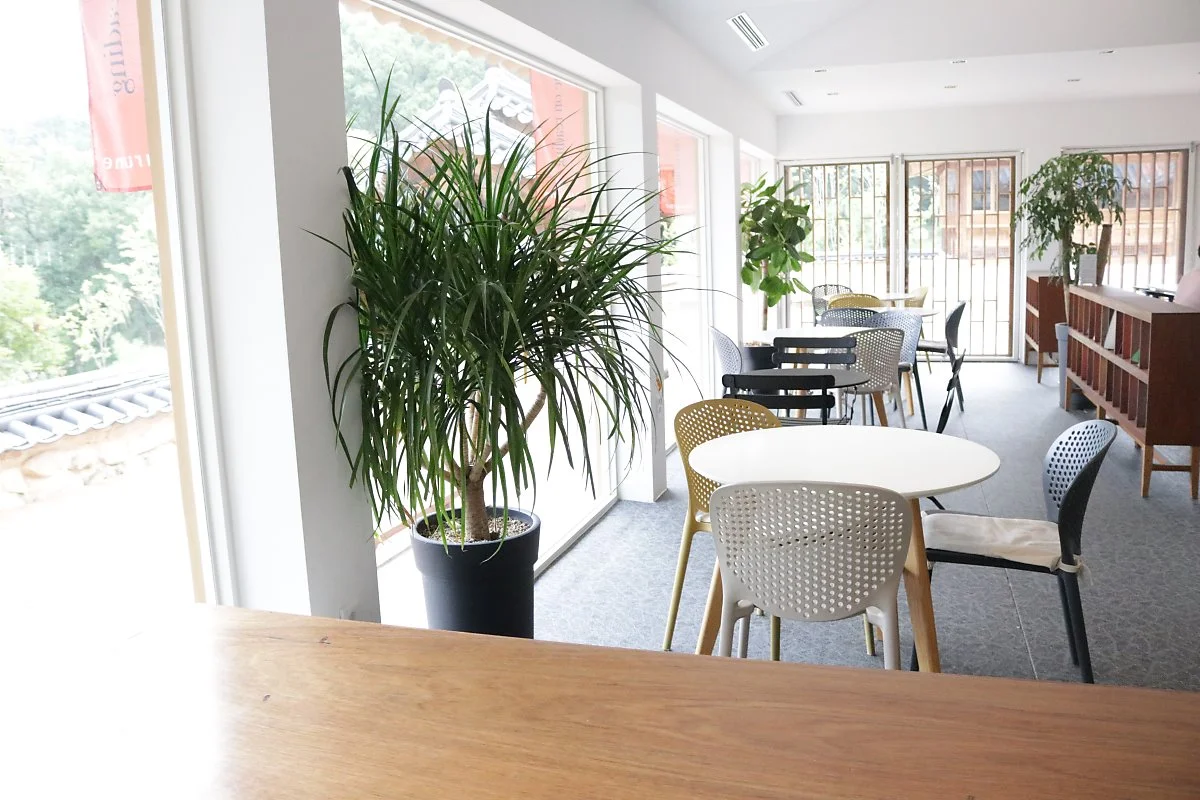 IMG_4747.JPG?type=w1200