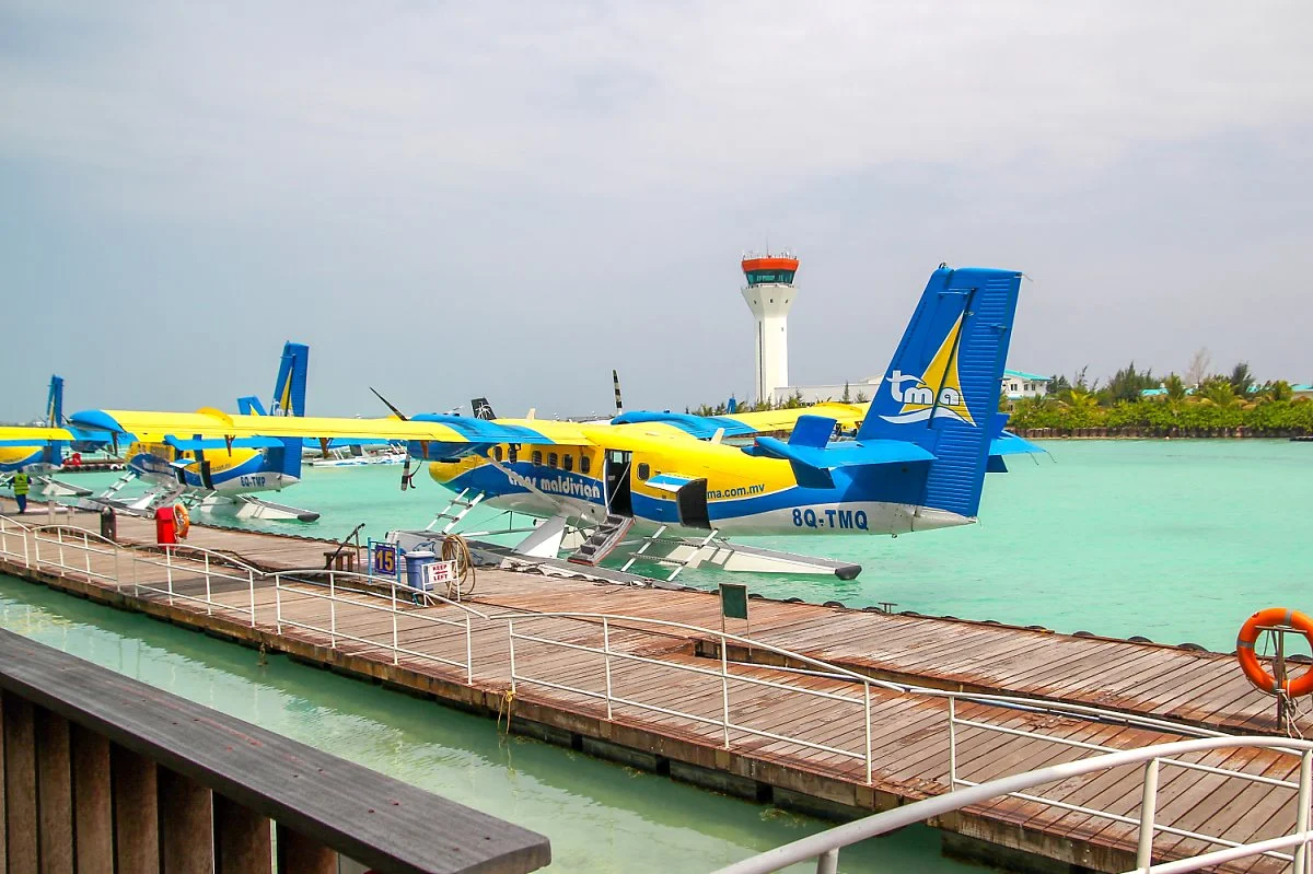 1IMG_3731.jpg?type=w1200