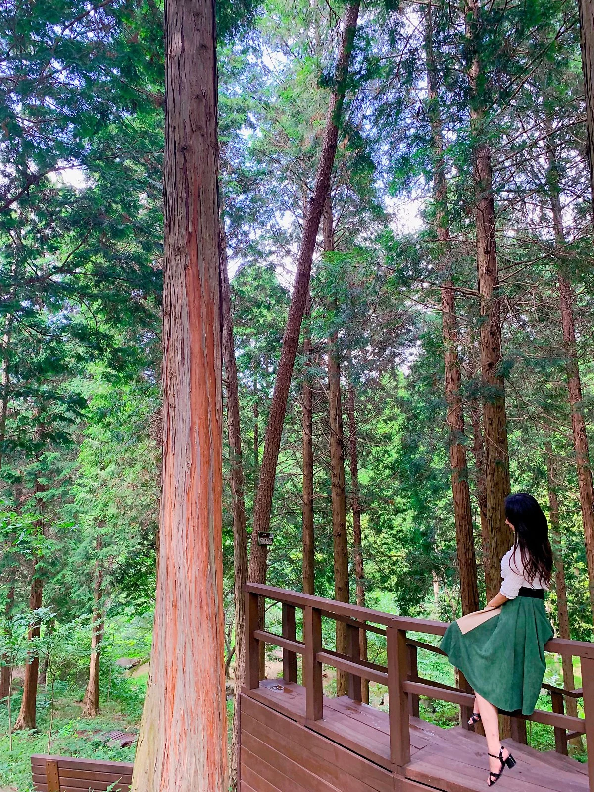 IMG_2654.JPG?type=w1200