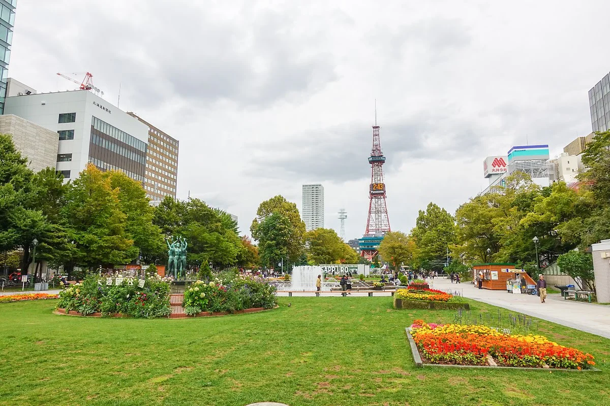 %EC%82%AC%EC%A7%8411_%EC%98%A4%EB%8F%84%EB%A6%AC%EA%B3%B5%EC%9B%90.jpg?type=w1200