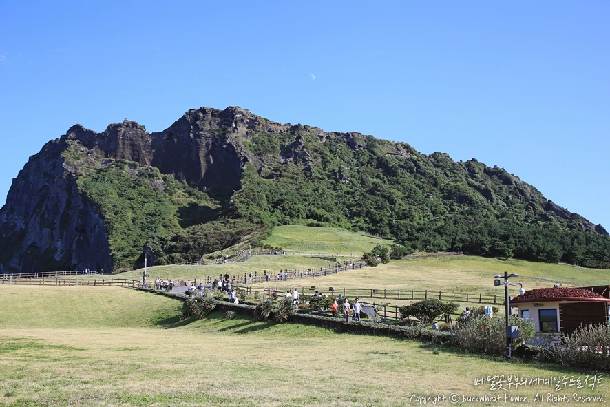 1.%EC%84%B1%EC%82%B0%EC%9D%BC%EC%B6%9C%EB%B4%89.png?type=w1200